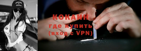 шишки Алексин