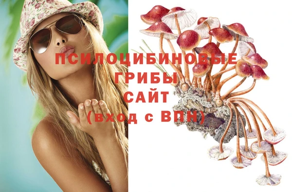 шишки Переславль-Залесский